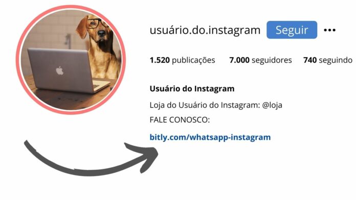 gerar link no whatsapp gerar link para o seu whatsapp